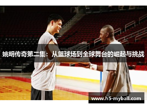 姚明传奇第二集：从篮球场到全球舞台的崛起与挑战