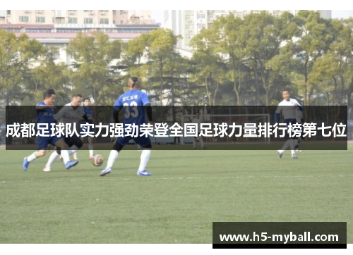 成都足球队实力强劲荣登全国足球力量排行榜第七位