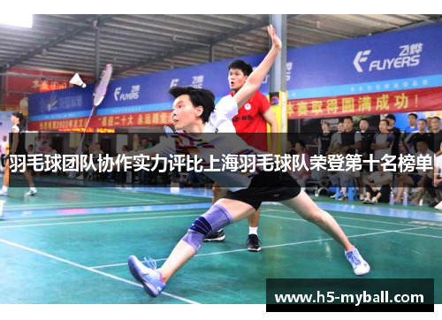 羽毛球团队协作实力评比上海羽毛球队荣登第十名榜单